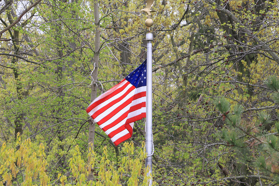 USA flag flying in a wooded area Photograph by Douglas Sacha