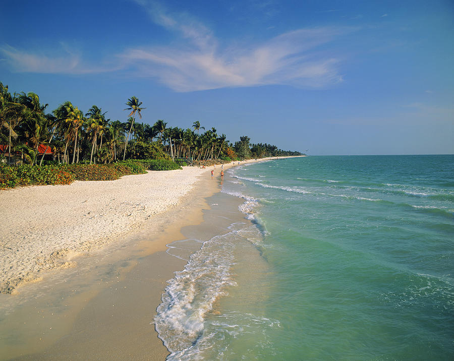 USA, Florida, Naples, Naples Beach along Gulf Coast Photograph by James Randklev