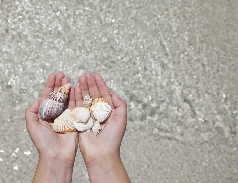 USA, Florida, St. Petersburg, girl holding seashells, directly above Photograph by Vstock LLC