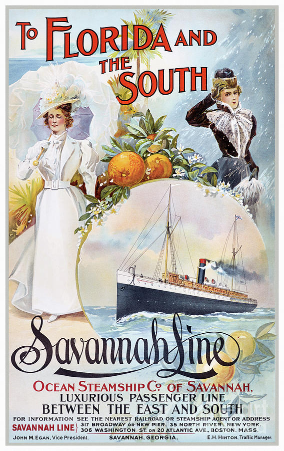 Usa Florida Vintage Travel Poster Restored Drawing