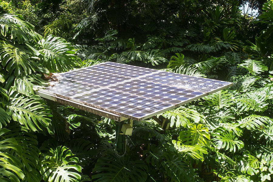 USA, Hawaii, Kauai, Solar Panel Photograph by Mark Miller Photos