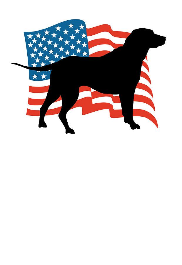 Golden Retriever Lab Dog American Flag Retro Cycling Jersey