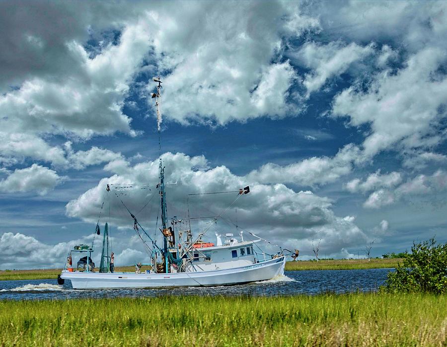 USA Louisiana Landscape Grand Isle Gulf Coast Photograph by Maggy Marsh