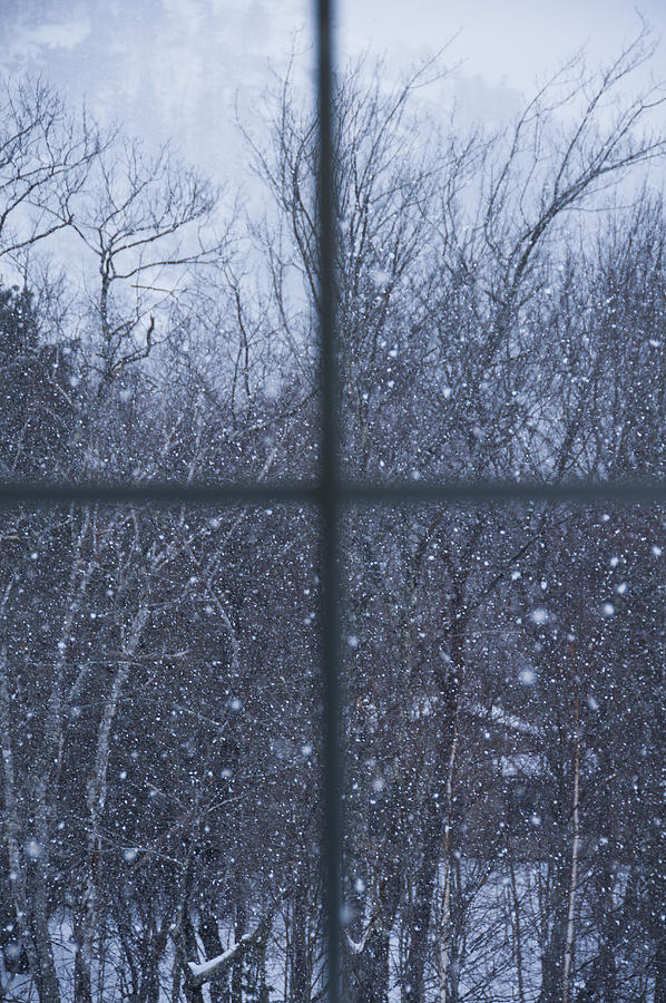 USA, Maine, Camden, window overlooking snowy forest Photograph by Daniel Grill