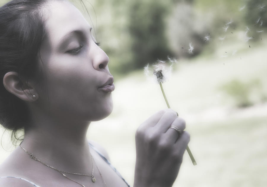 USA, Maine, Camden, Young woman blowing dandelion seeds Photograph by Daniel Grill