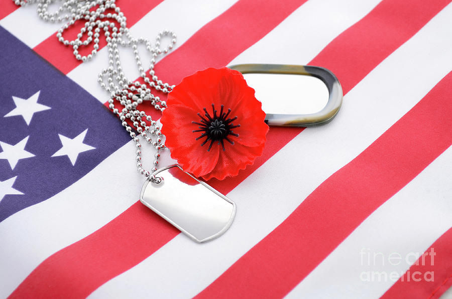 USA Memorial Day concept.  Photograph by Milleflore Images