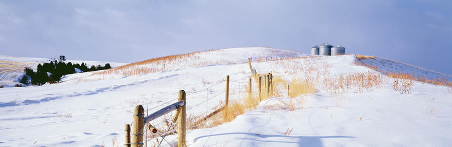 USA, Montana, farm, winter Photograph by Panoramic Images