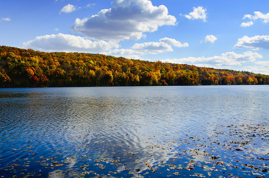 USA, New Jersey, Sparta, Kittatinny State Park, Fallen leaves floating on water Photograph by Tetra Images