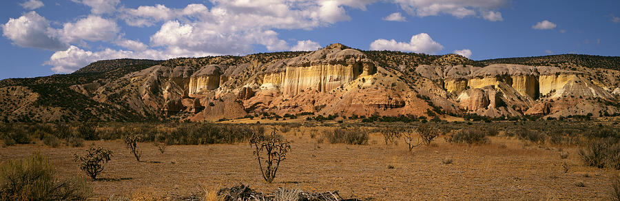 USA, New Mexico, Ghost Ranch, near Abiquiu, red rock formation with cholla cactus and sagebrush Photograph by Timothy Hearsum
