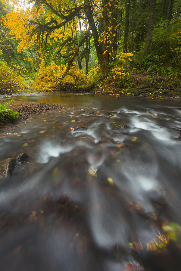 USA, Oregon, Silver Creek, Flowing stream Photograph by Gary Weathers