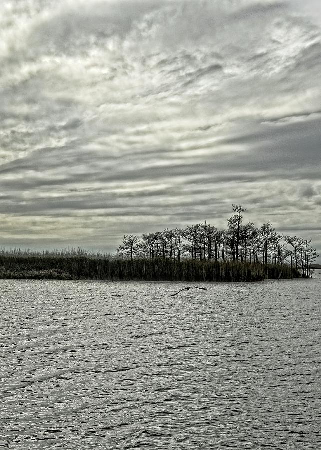 USA Southern Louisiana and Bayou Landscape Vista 10 Photograph by Maggy Marsh