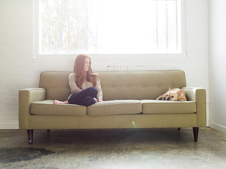 USA, Utah, Salt Lake City, Woman and pug on sofa Photograph by Jessica Peterson
