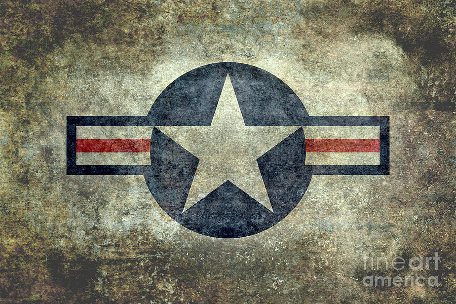 USAF style roundel Digital Art by Sterling Gold