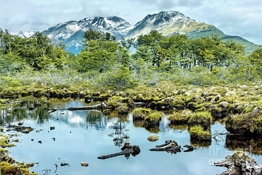 Ushuaia Bogs Photograph by Tom Watkins PVminer pixs
