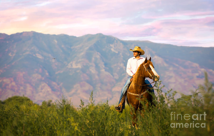 Utah Cowboy Riding On The Open Range Photograph