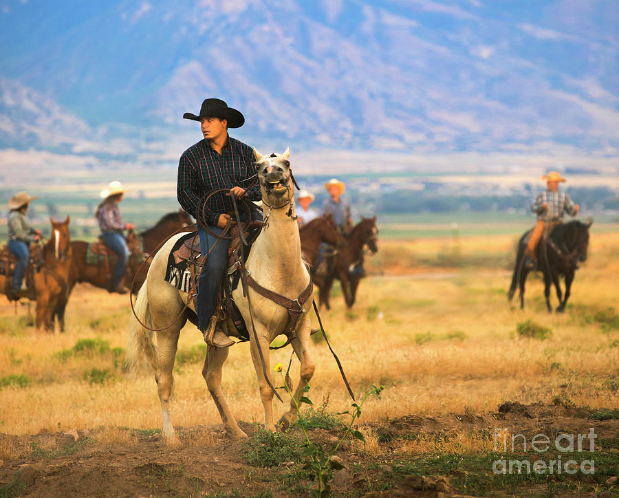 Utah Cowboy Riding On The Range Photograph
