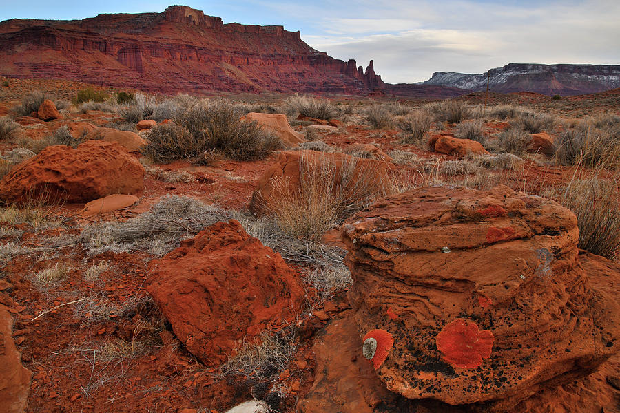 Utah Desert Color Photograph by Ray Mathis