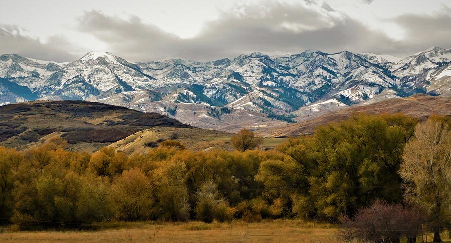 - Utah Mountain 8 Photograph by THERESA Nye