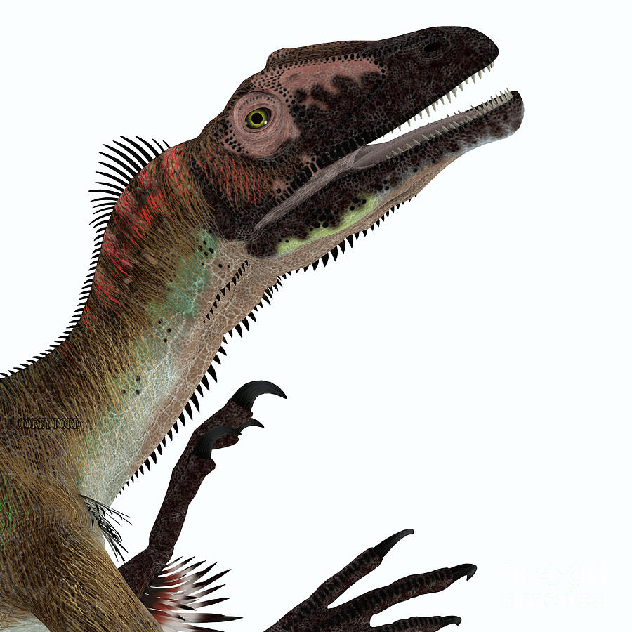 Utahraptor Dinosaur Head Digital Art by Corey Ford