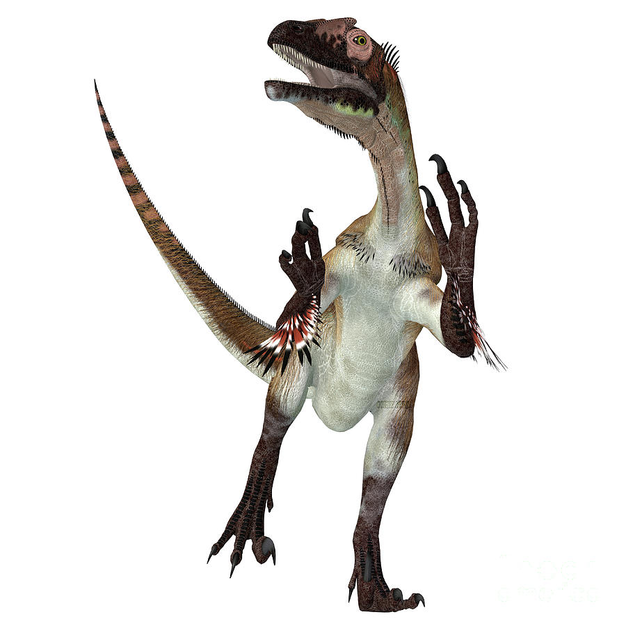 Prehistoric Digital Art - Utahraptor Dinosaur over White by Corey Ford