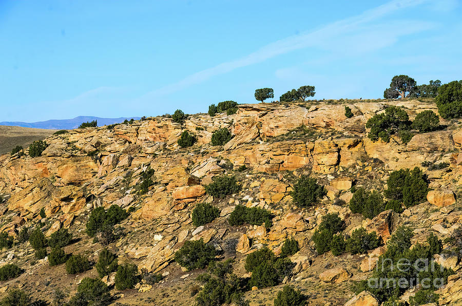 Utahs Rocky Landscape Photograph by Randy J Heath