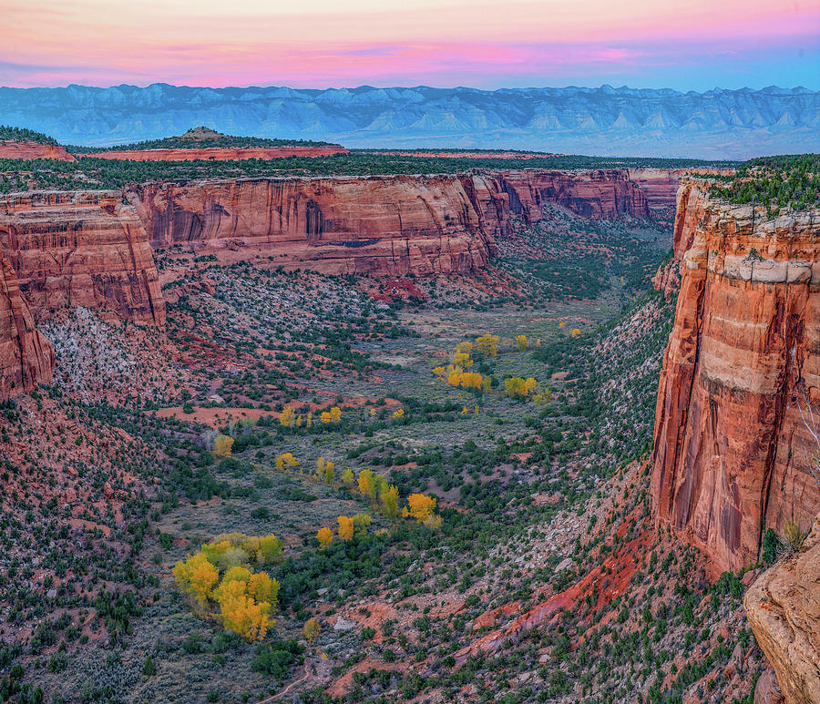 Nature Photograph - Ute Canyon, Colorado National Monument, Colorado by Tim Fitzharris