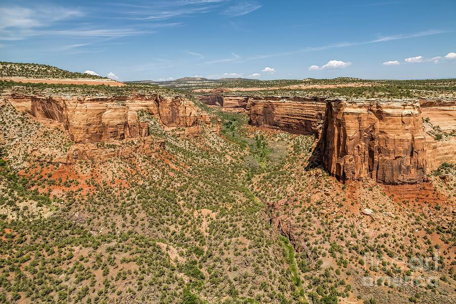 Ute Canyon Overlook Photograph by Jon Burch Photography