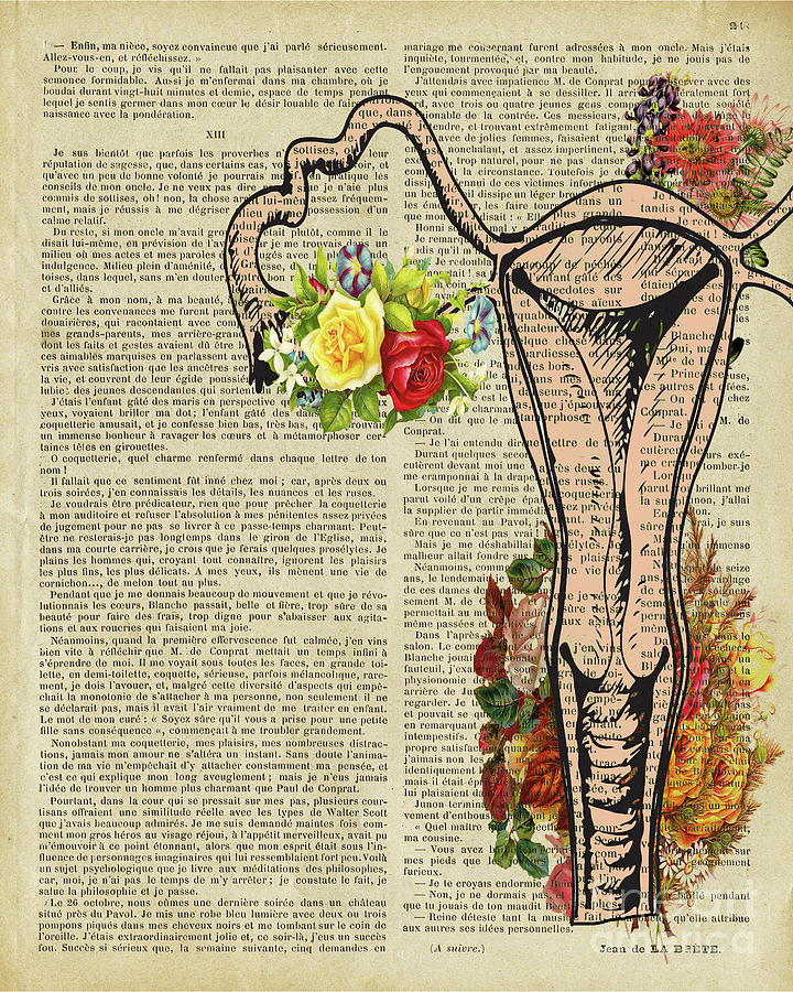 10 Best Uterus Art Ideas Uterus Art Uterus Art 1781