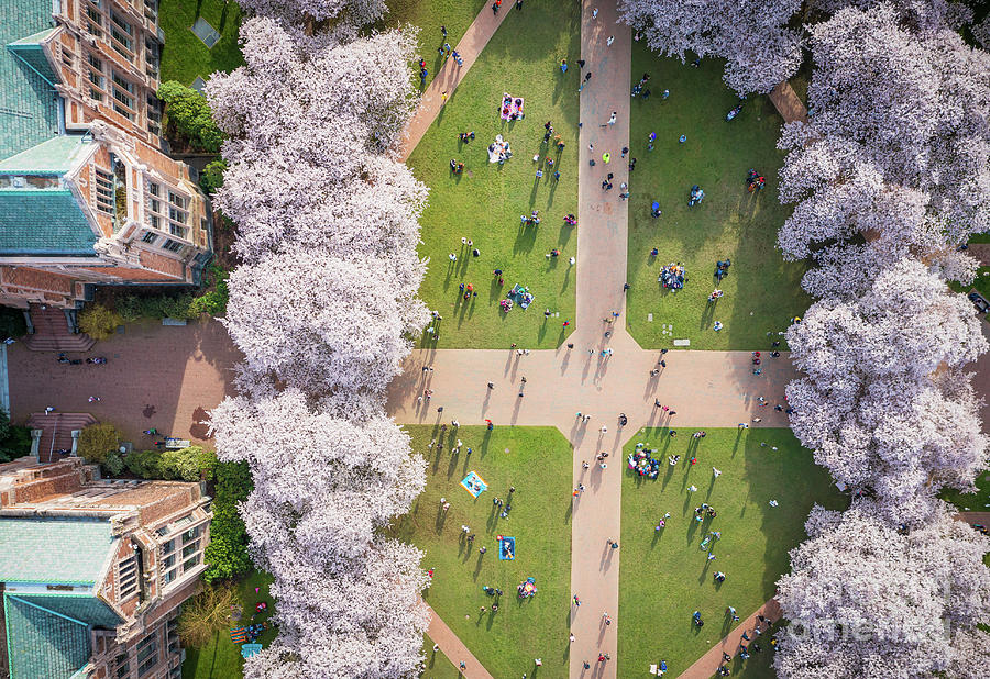 UW from above Photograph by Inge Johnsson