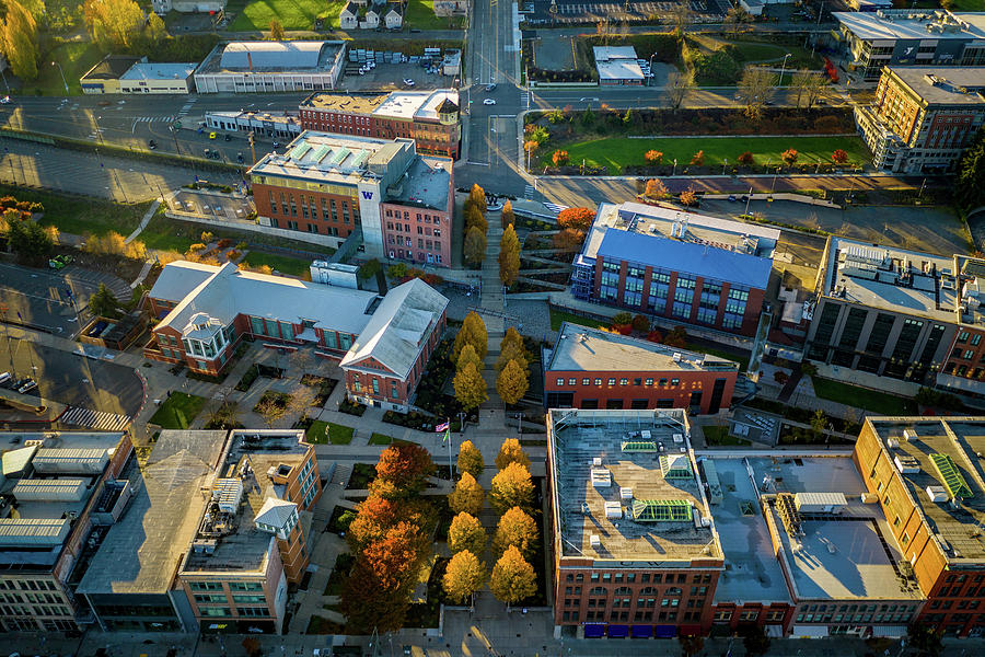 Giga Chad - University of Washington - Tacoma, Washington, United