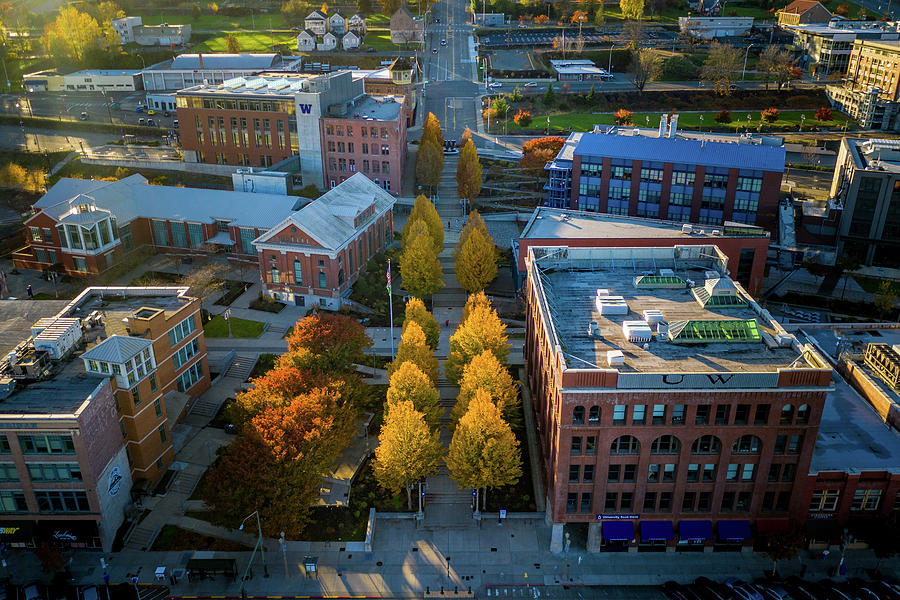 Giga Chad - University of Washington - Tacoma, Washington, United