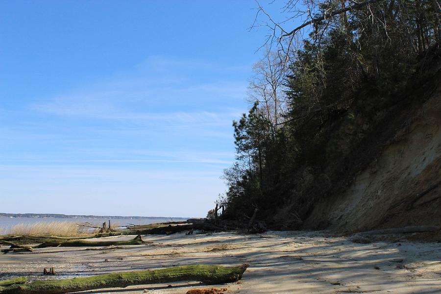 VA State Park 5 - Fossil Beach Photograph by Stacey Nelson - Pixels