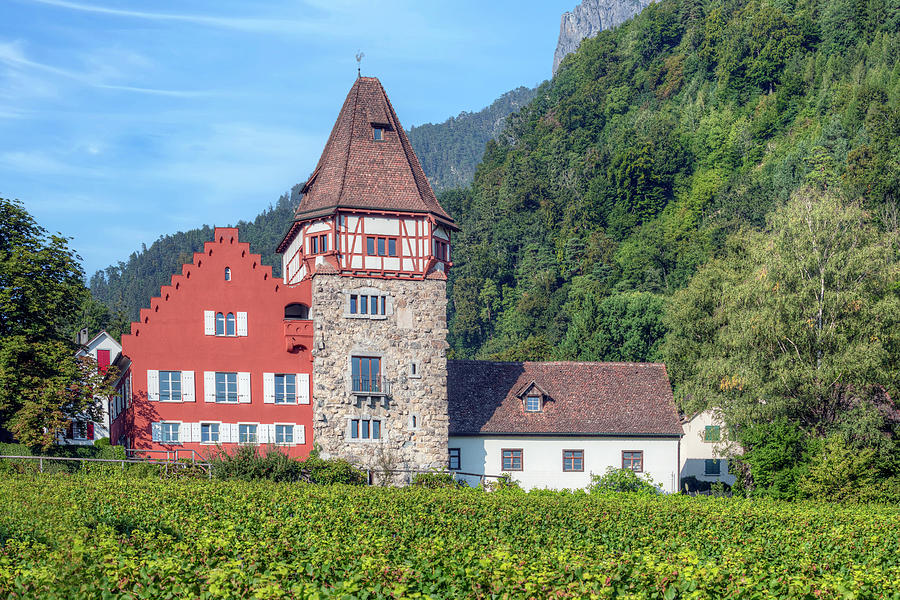 Vaduz - Liechtenstein Photograph by Joana Kruse