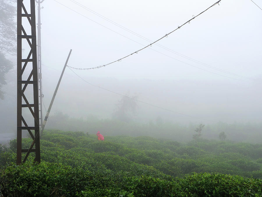 Vagamon Photograph by Vijay Mathew Vagamon Photograph by Vijay Mathew