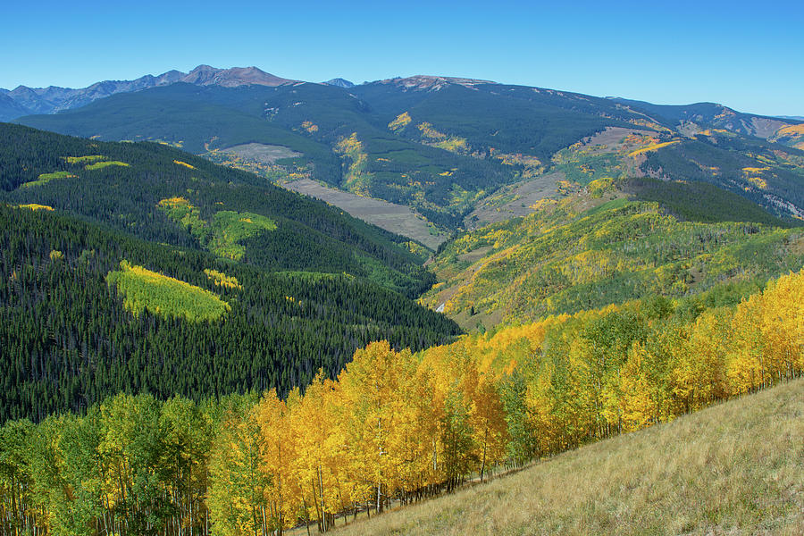 Vail Fall Colors Photograph by Kyle Hanson