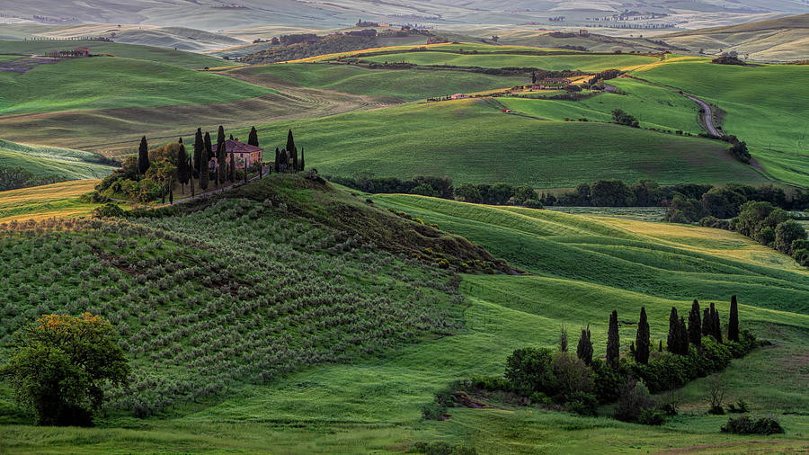 Val d Orcia  Photograph by Harriet Feagin