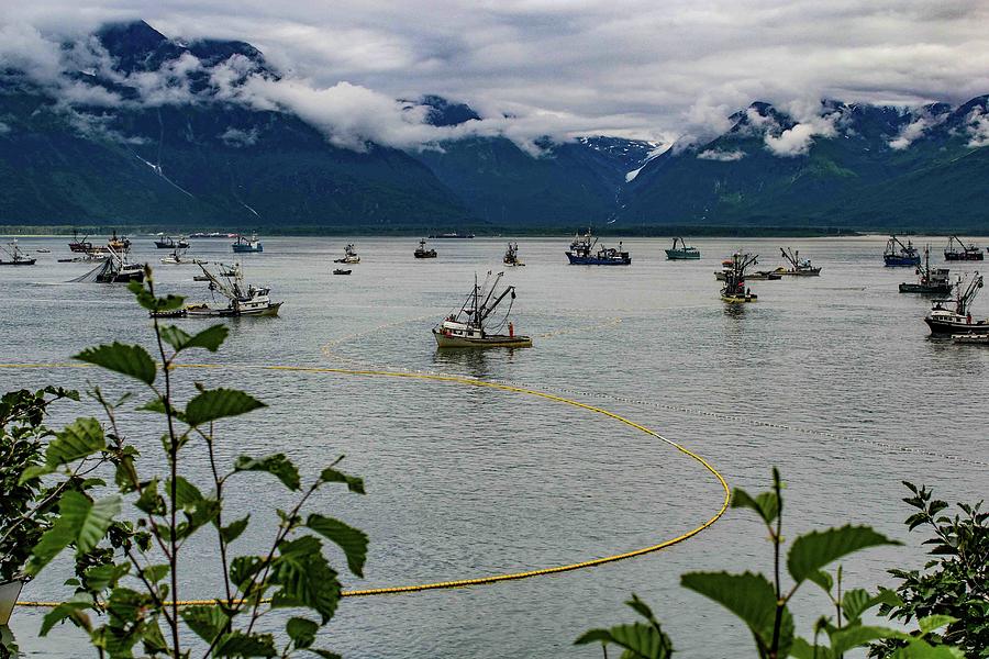 Valdez Fishing Fleet Photograph by Alan Mathison - Fine Art America