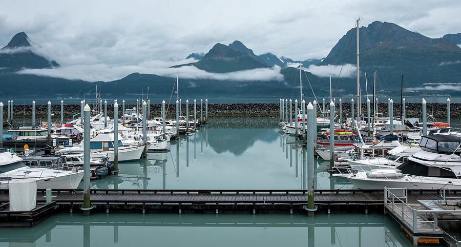 Valdez Harbor Alaska Photograph by Dan Sproul