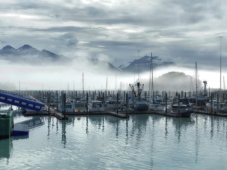 Valdez Harbor Photograph by Steph Gabler