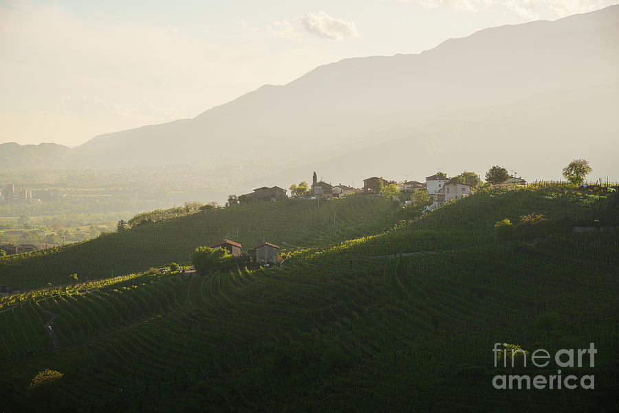Valdobbiadene hills Photograph by Yuri Santin