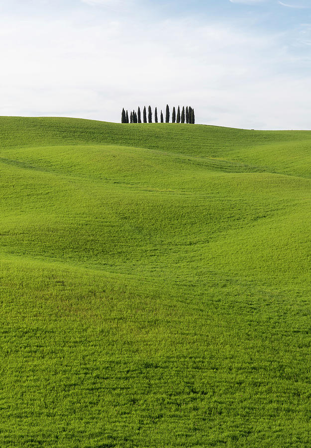 Valdorcia green meadow Photograph by Pietro Ebner