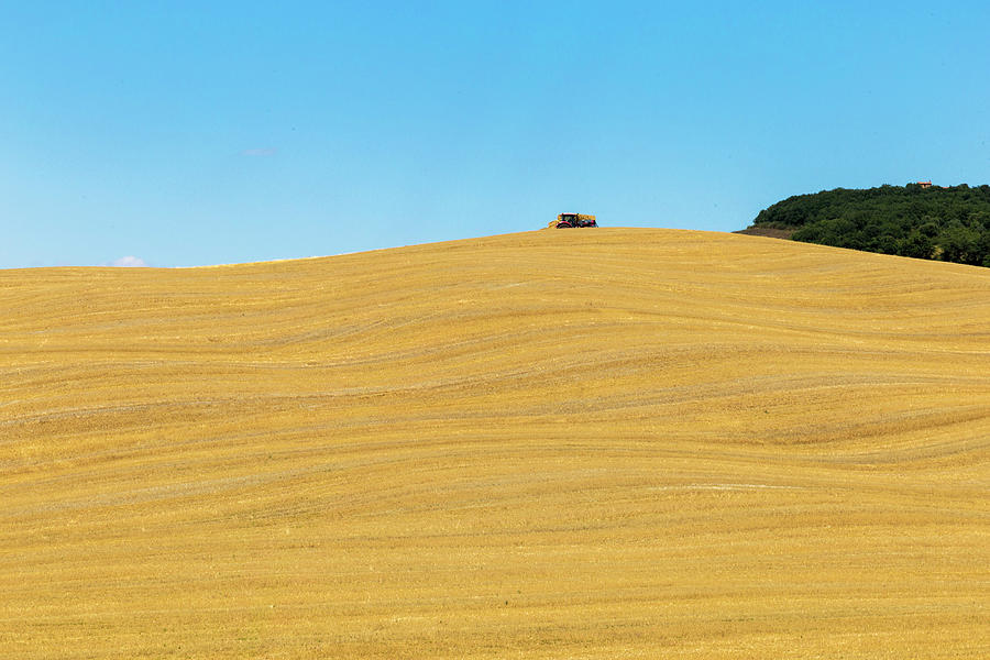 ValDorcia yellow meadow Photograph by Pietro Ebner