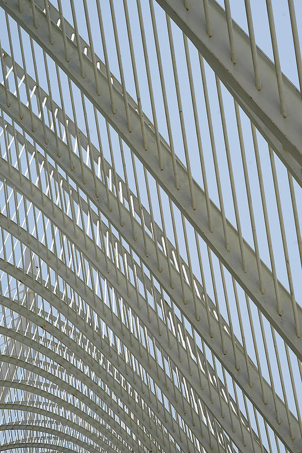 Valencia - The Umbracle Study 1 Photograph by Richard Reeve