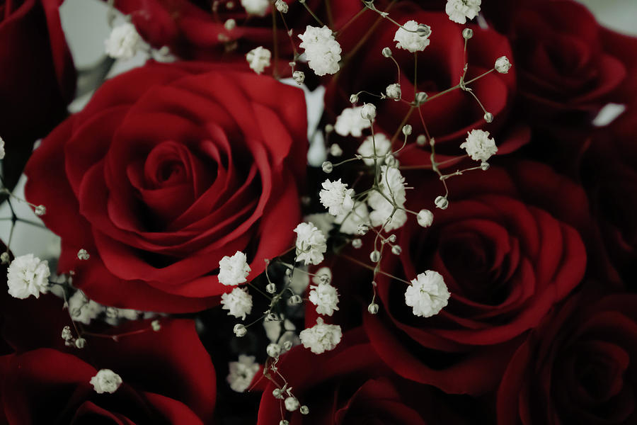 Valentine Bouquet Photograph
