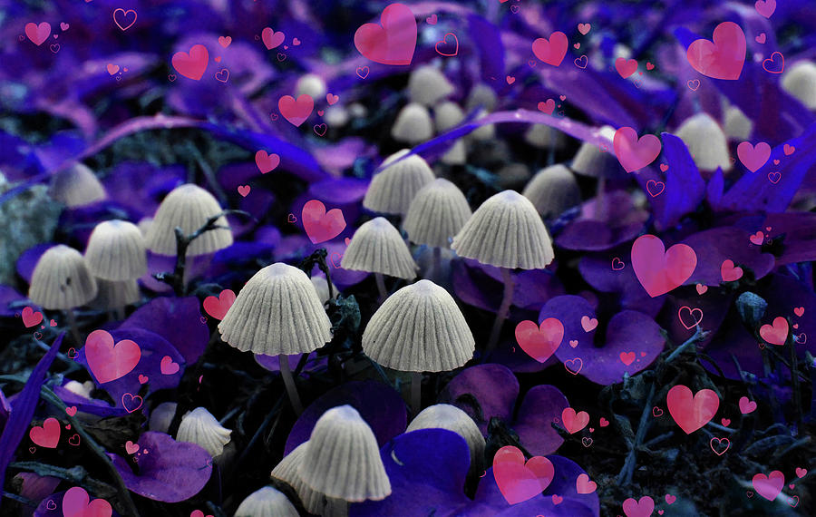 Valentine by Carl Moore Valentine by Carl Moore