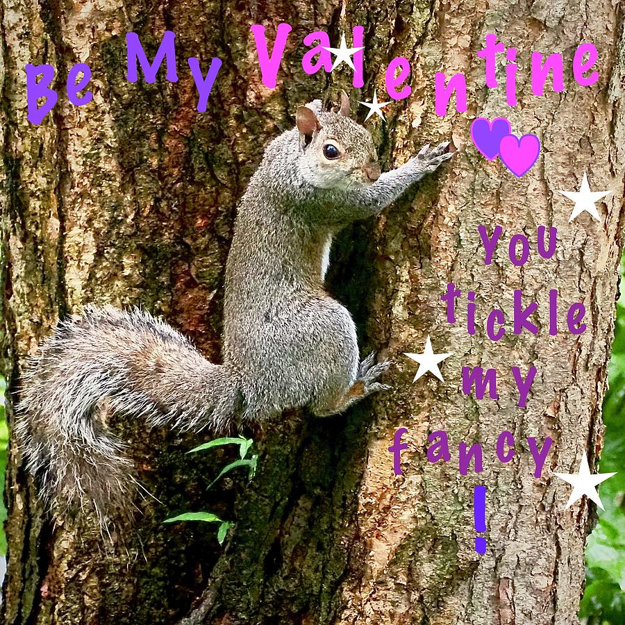 Valentine Squirrel Mixed Media by Alida M Haslett
