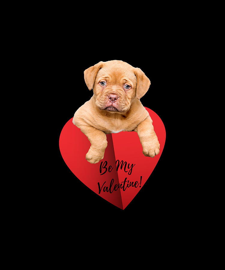 Valentines Day Cute Puppy Heart Design Photograph by Aaron Geraud