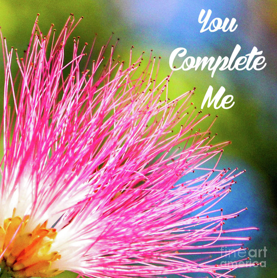Valentines Day You Complete me Photograph by Joanne Carey
