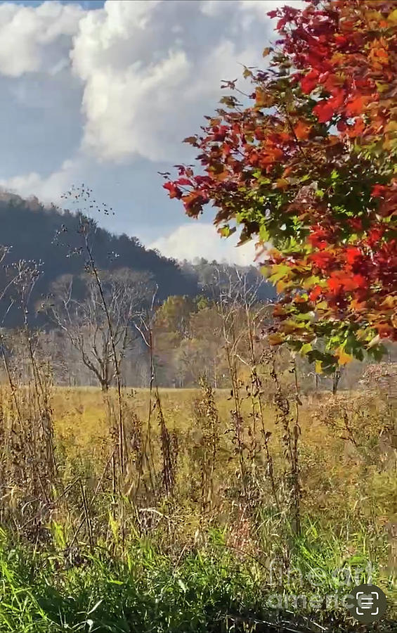 Valle Crucis Autumn  Photograph by Catherine Ludwig Donleycott