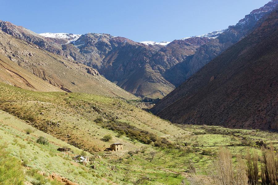 Valle del Elqui Photograph by Josu Ozkaritz